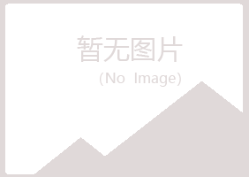 日照岚山从容工程有限公司